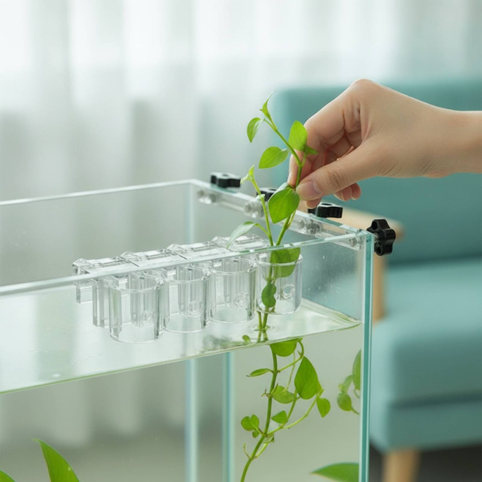 Aquarium Plant - 6 stuks Aquarium Planter Clear Hydroponic