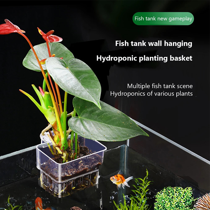 Aquarium Planted Wall - Nieuwe【Hangende aquarium plantenbak, aan de muur