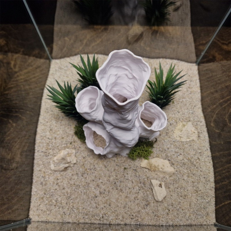 Planted Aquarium For Sale - Hete Aanbieding 3D Geprint Koraal Tunnel