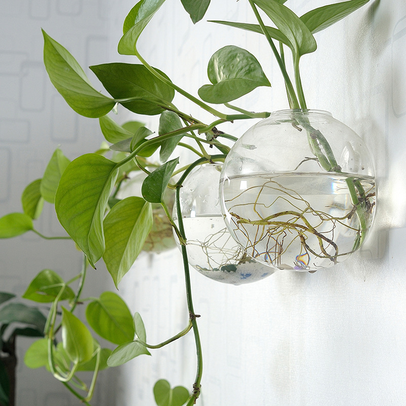 Aquarium Planted Wall - Muuropknoping Acryl Viskom Plexiglas Aquarium Vaas