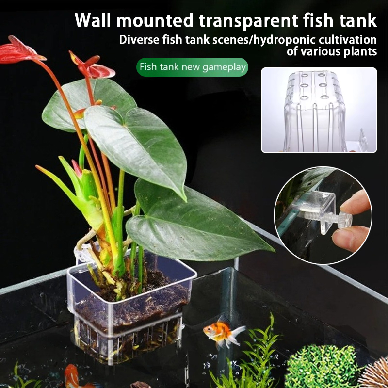 Aquarium Planted Wall - Aquarium hangende plantenbakjes, wandgemonteerde houder voor