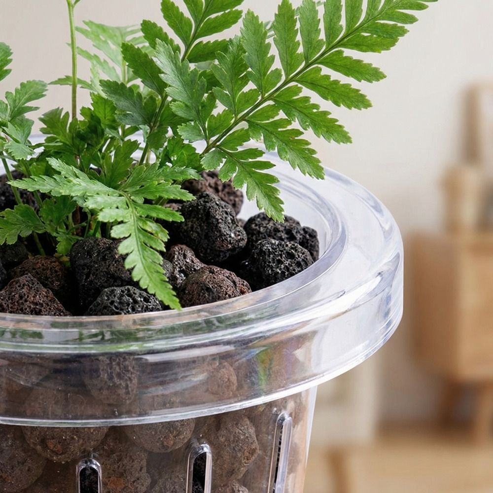 Aquarium Planted Wall - Transparante aquariumplantenbak, ronde wandbevestigde plantenmand van
