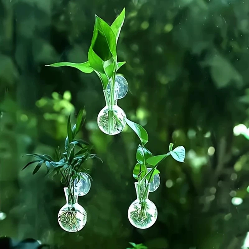 Aquarium Planted Wall - Creatieve halfronde klasse wandgemonteerde vaas bloemplaat
