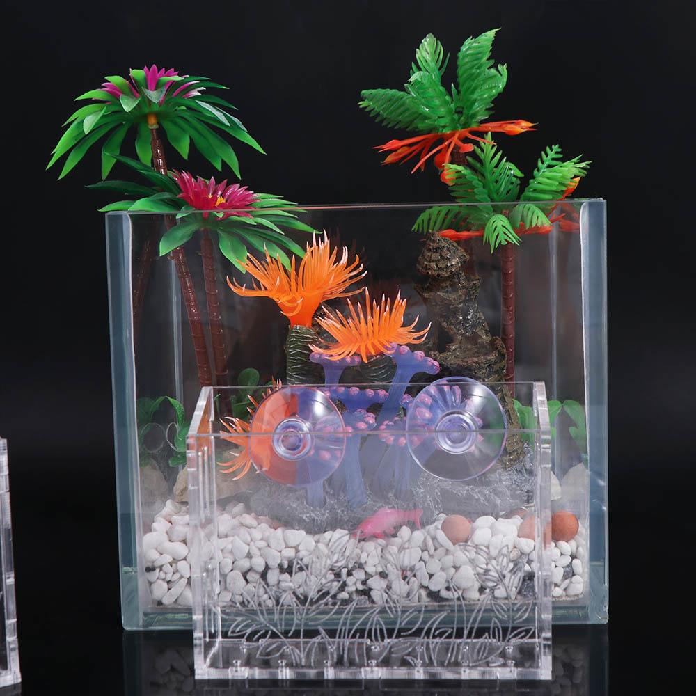 Wandhangende aquariumplantenba - Aquarium Planted Wall recensie en prijs