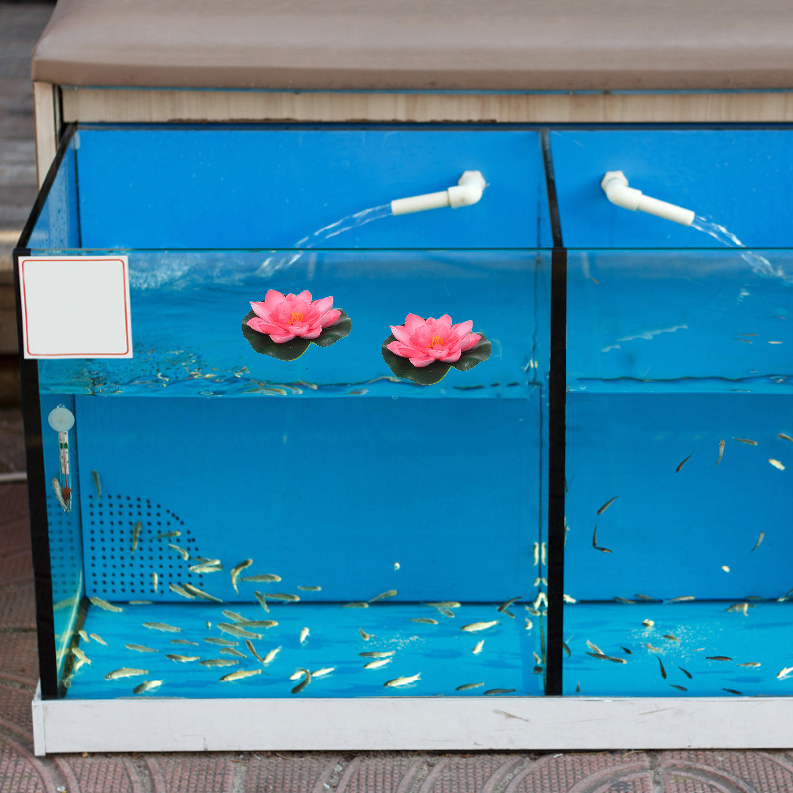 12 stuks kunstmatige drijvende - Aquarium Plant recensie en prijs