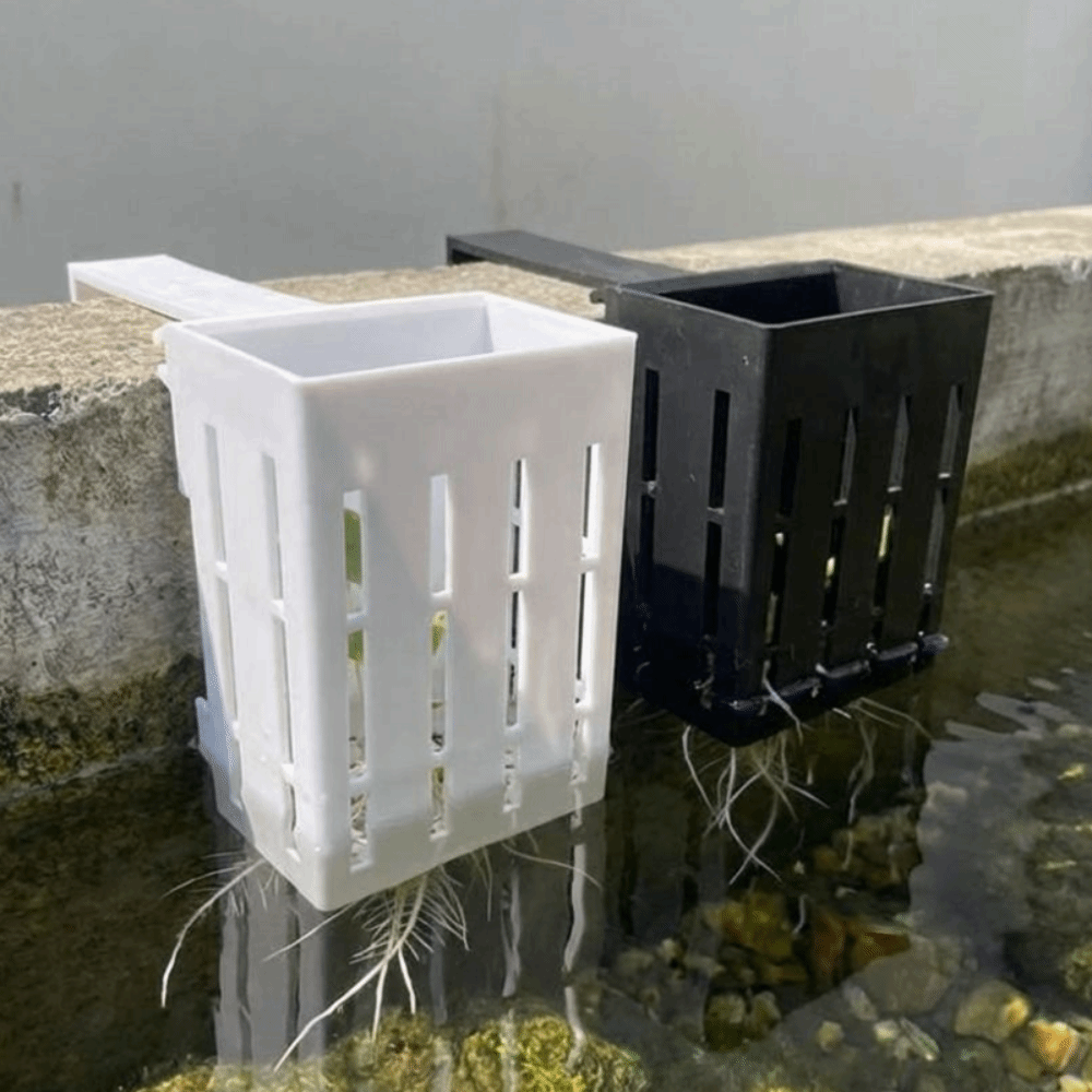 Aan de muur gemonteerde aquari - Aquarium Planted Wall recensie en prijs