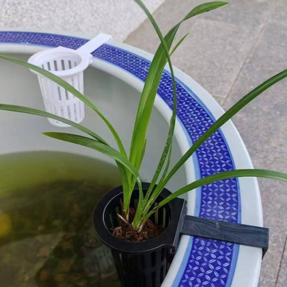 Aan de muur gemonteerde aquari - Aquarium Planted Wall recensie en prijs