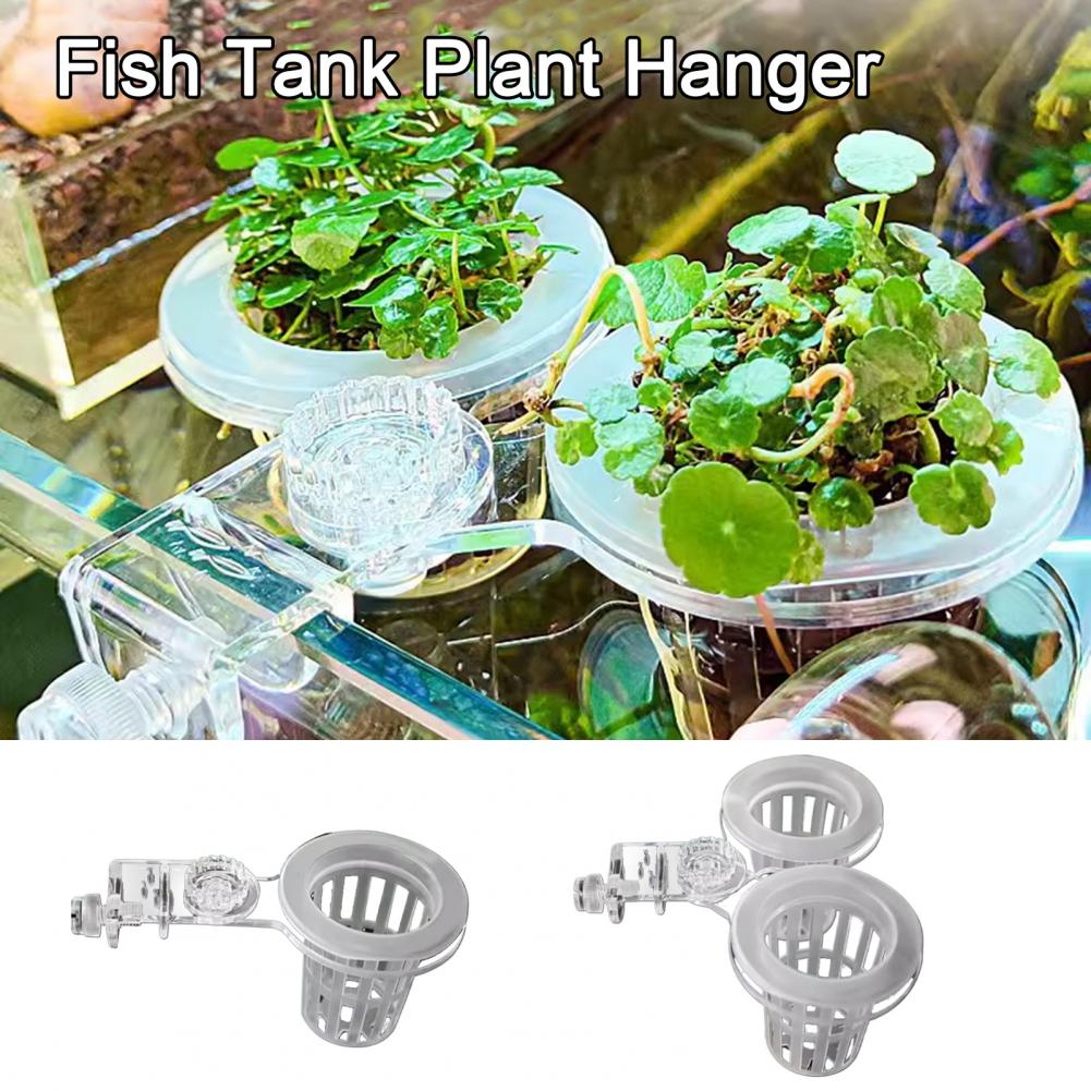 Aquarium Plantenhouder Wandgem - Aquarium Planted Wall recensie en prijs