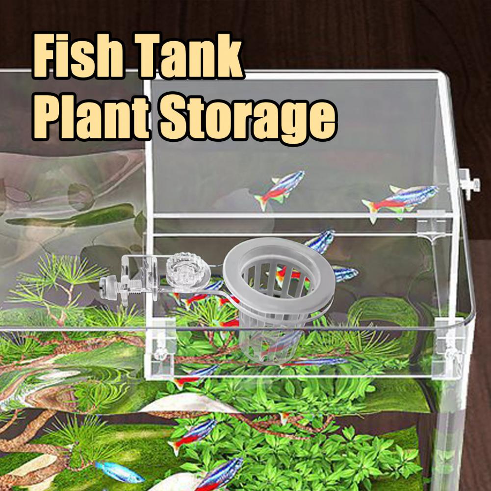 Aquarium Plantenhouder Wandgem - Aquarium Planted Wall recensie en prijs