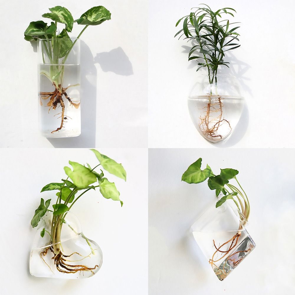 Kegelvorm muurhangende vaas tr - Aquarium Planted Wall recensie en prijs