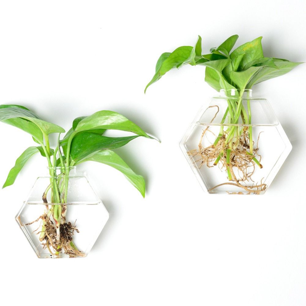 Kegelvorm muurhangende vaas tr - Aquarium Planted Wall recensie en prijs