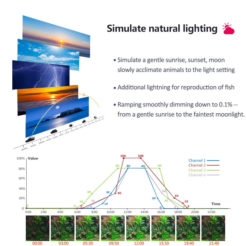 PopBloom Professioneel geplant - Planted Aquarium Freshwater recensie en prijs