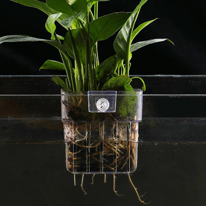 Nieuwe【Hangende aquarium plant - Aquarium Planted Wall recensie en prijs