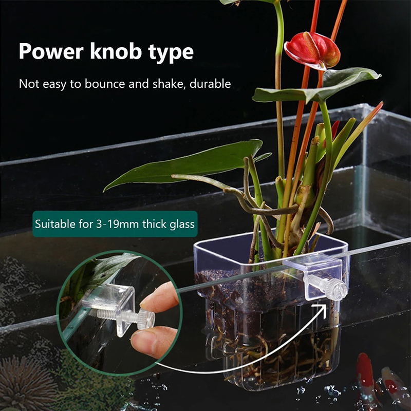 Nieuwe【Hangende aquarium plant - Aquarium Planted Wall recensie en prijs
