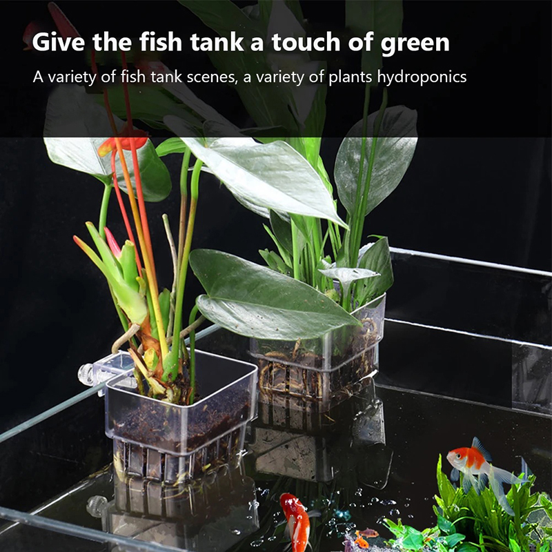 Nieuwe【Hangende aquarium plant - Aquarium Planted Wall recensie en prijs