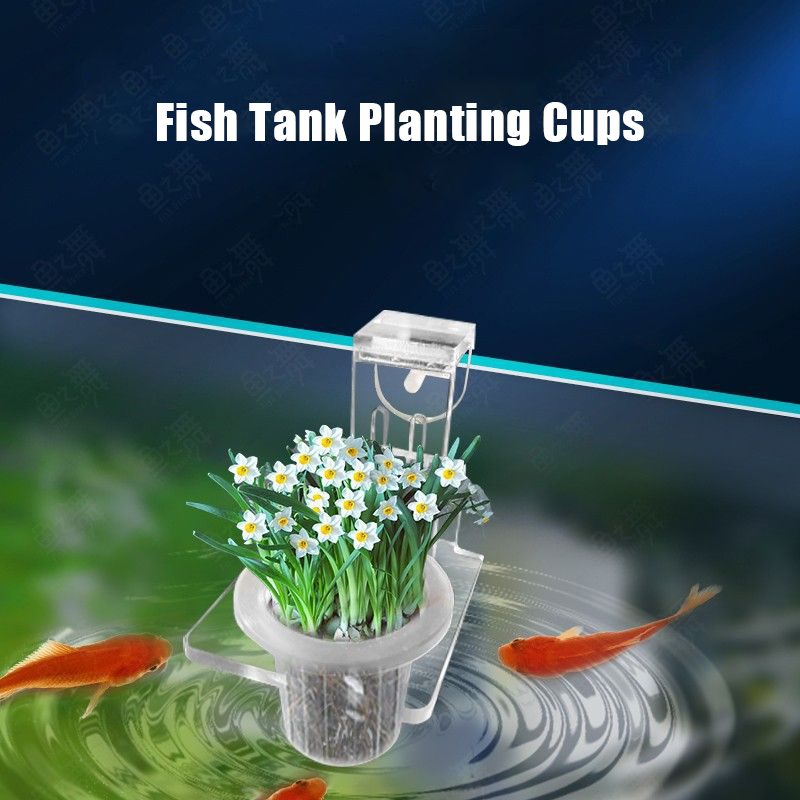 Aquarium Plantbekers Hydrocult - Aquarium Planted Wall recensie en prijs