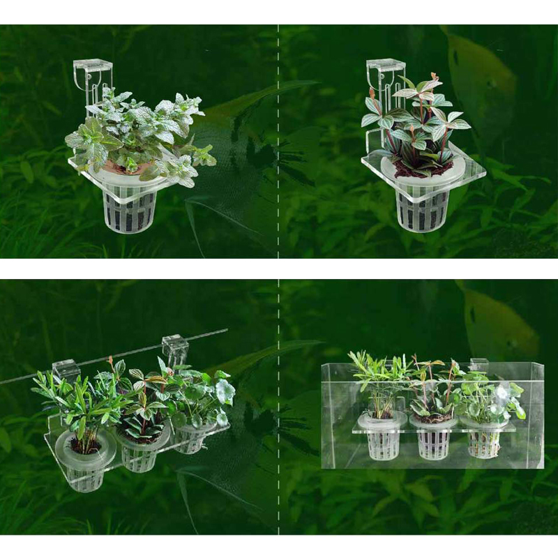 Aquarium Plantbekers Hydrocult - Aquarium Planted Wall recensie en prijs