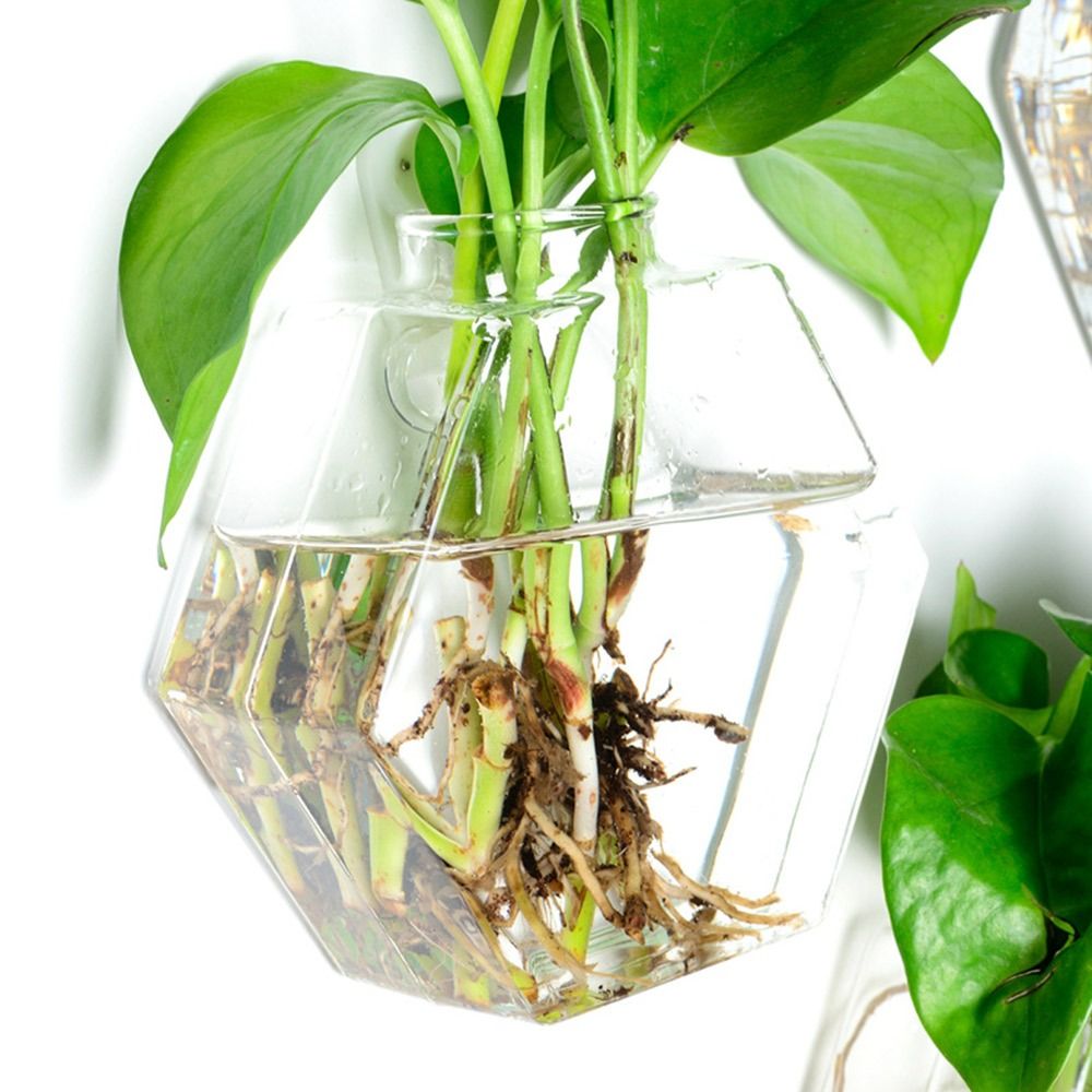 Kegelvorm Muurhangende vaas Hy - Aquarium Planted Wall recensie en prijs