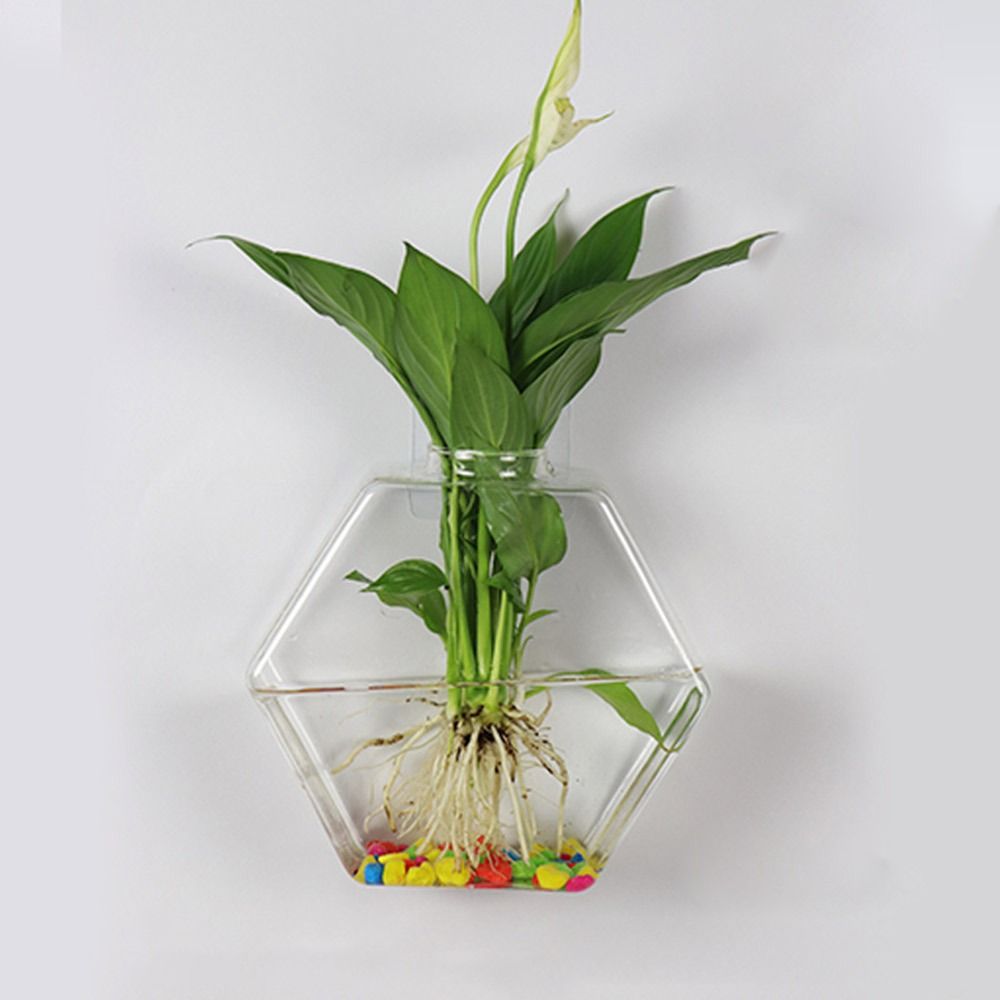 Kegelvorm Muurhangende vaas Hy - Aquarium Planted Wall recensie en prijs