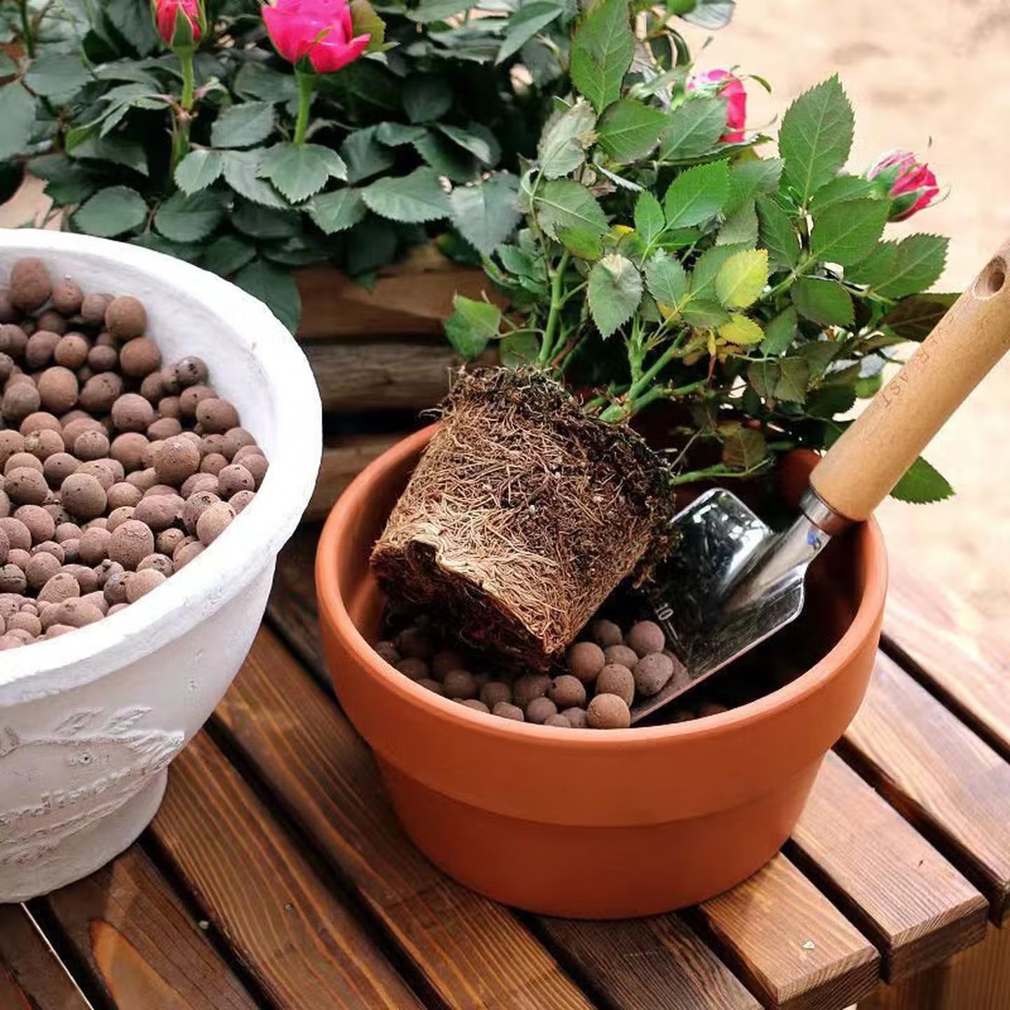 100-500g Herbruikbare Hydropon - Aquasoil Substrate recensie en prijs