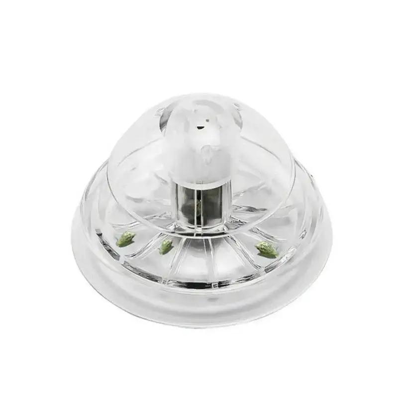 2026 Nieuwe 6/8CM Transparante - Aquarium Plant recensie en prijs
