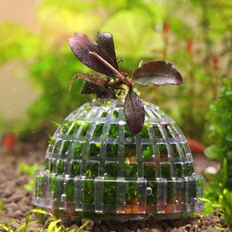 Hete Aanbieding Aquariumdecora - Planted Aquarium For Sale recensie en prijs