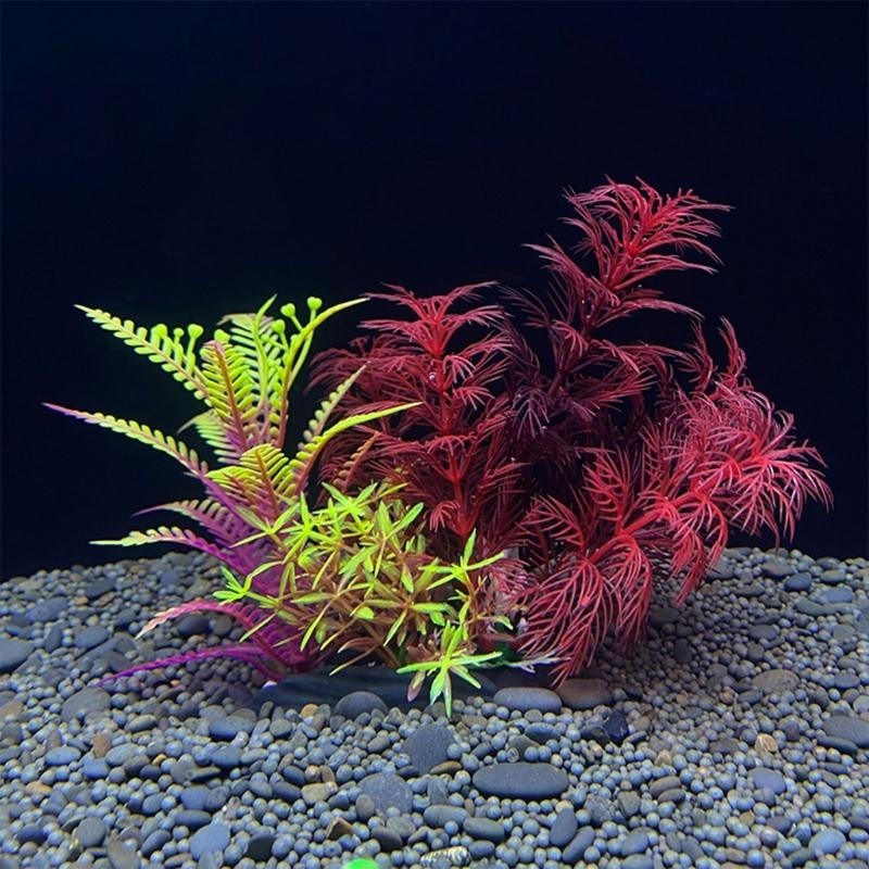 Kunstmatige aquariumdecoratie  - Planted Aquarium For Sale recensie en prijs