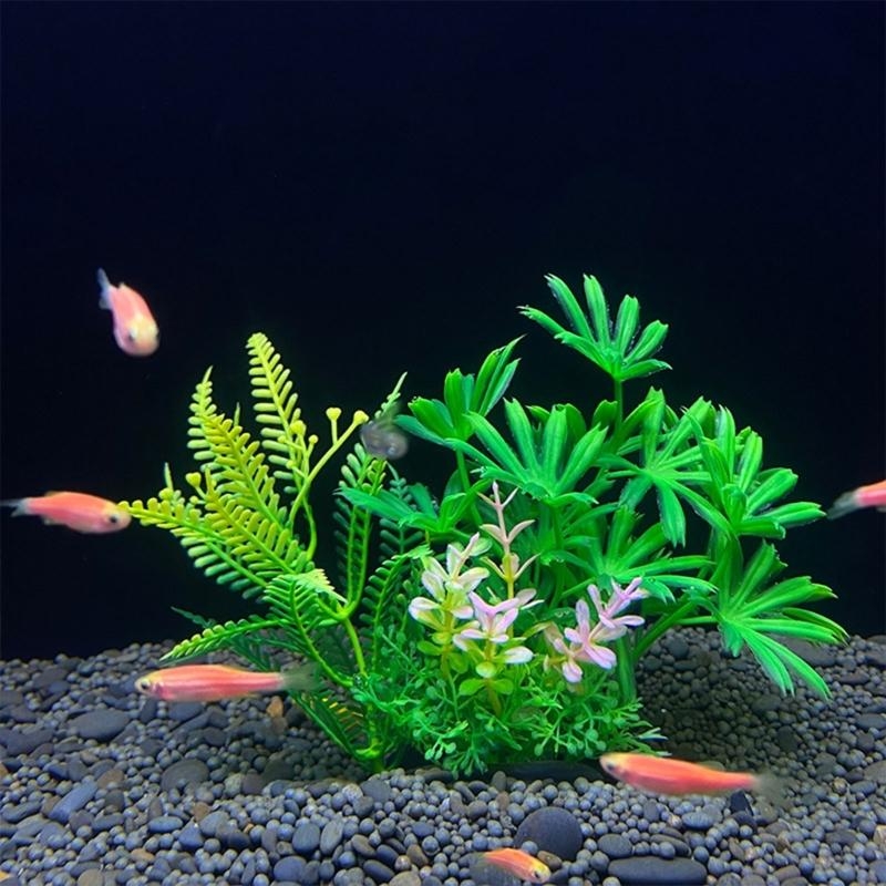 Kunstmatige aquariumdecoratie  - Planted Aquarium For Sale recensie en prijs