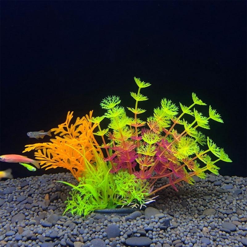 Kunstmatige aquariumdecoratie  - Planted Aquarium For Sale recensie en prijs