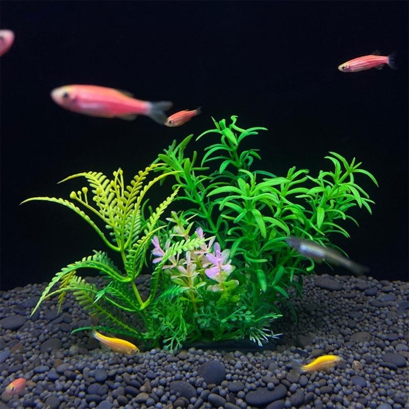 Kunstmatige aquariumdecoratie  - Planted Aquarium For Sale recensie en prijs