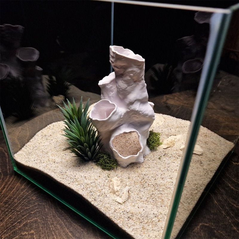 Hete Aanbieding 3D Geprint Kor - Planted Aquarium For Sale recensie en prijs