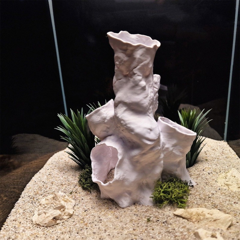 Hete Aanbieding 3D Geprint Kor - Planted Aquarium For Sale recensie en prijs