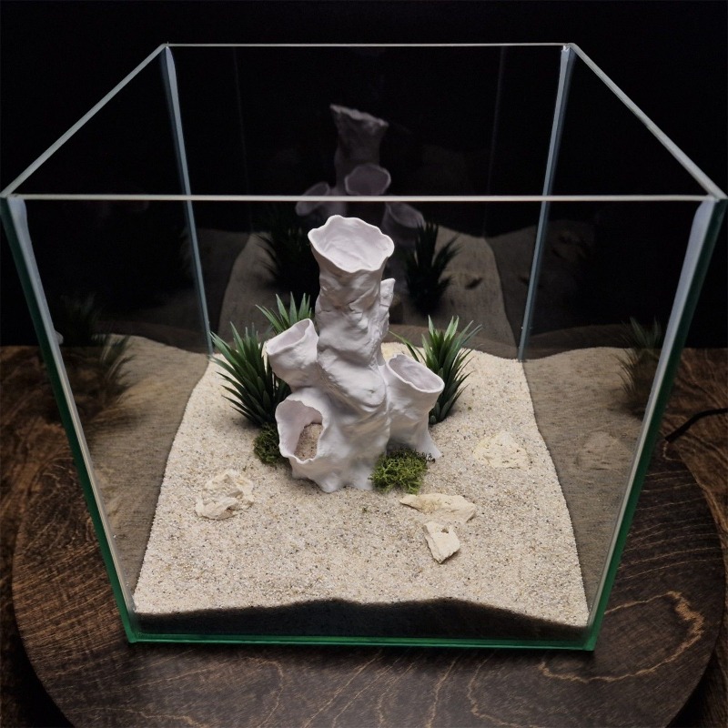 Hete Aanbieding 3D Geprint Kor - Planted Aquarium For Sale recensie en prijs