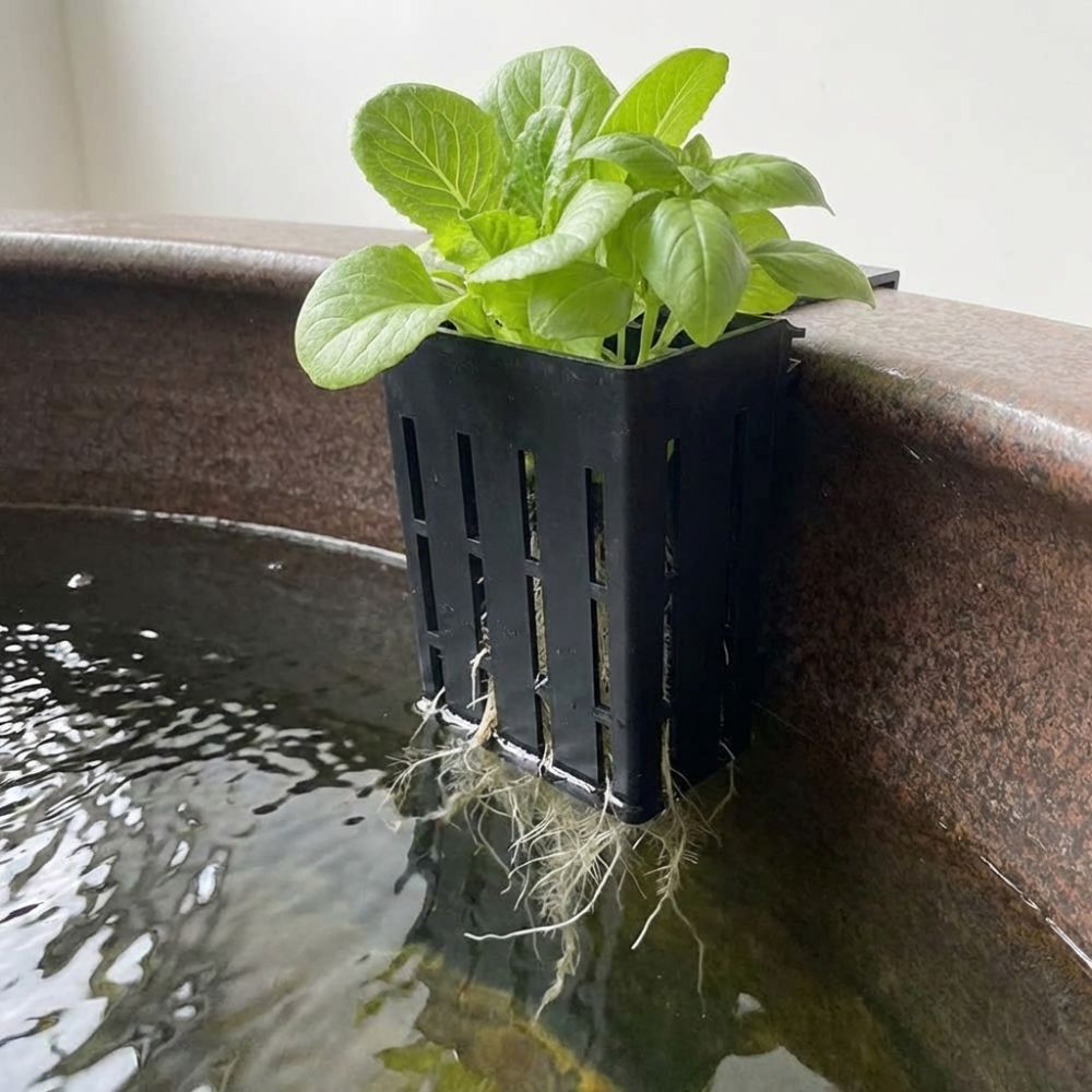 Aan de muur gemonteerde aquari - Aquarium Planted Wall recensie en prijs