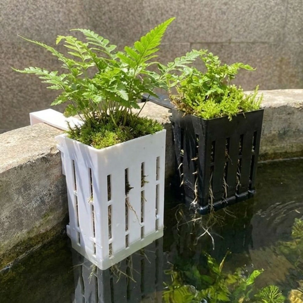 Aan de muur gemonteerde aquari - Aquarium Planted Wall recensie en prijs