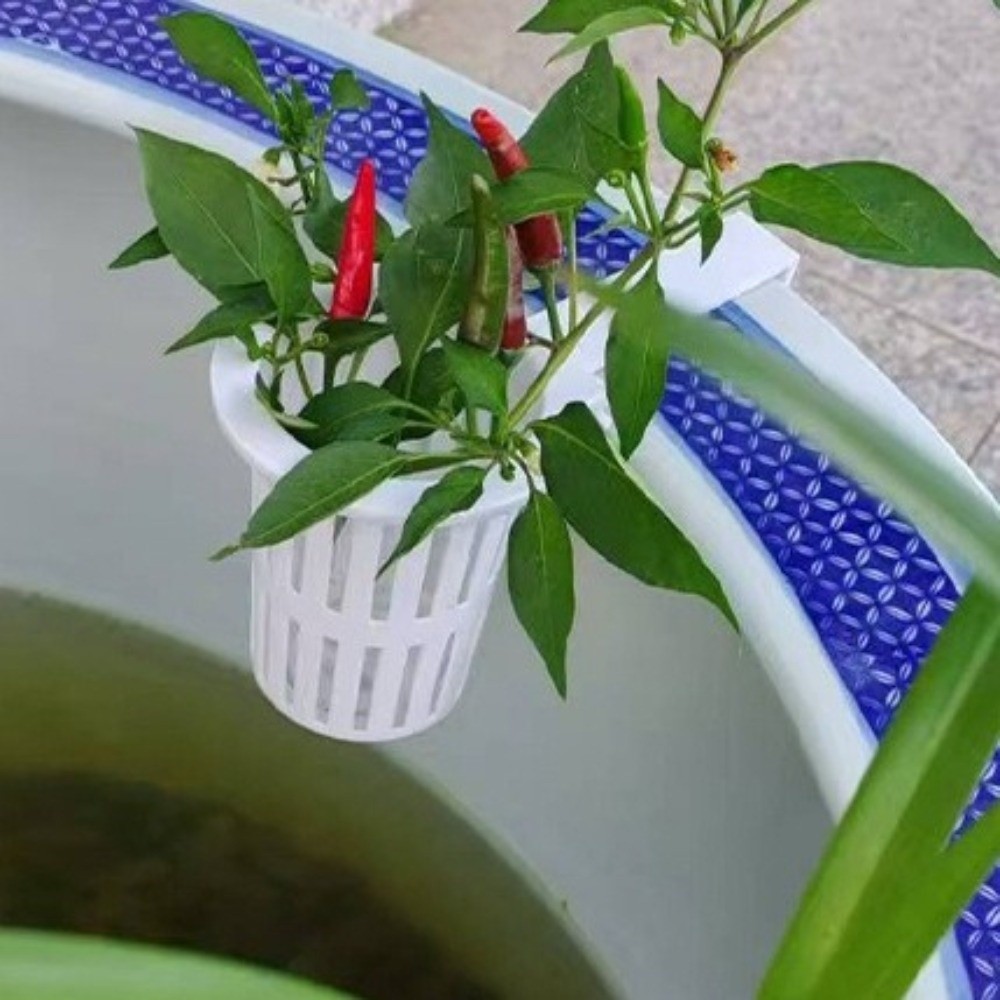 Aan de muur gemonteerde aquari - Aquarium Planted Wall recensie en prijs