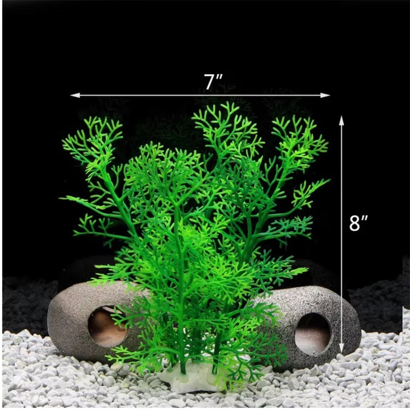 10 stuks Hot Selling Nieuwe Aa - Planted Aquarium For Sale recensie en prijs