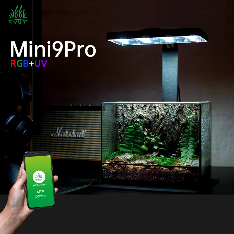 Hete Aanbieding Mini9pro Nano  - Planted Aquarium For Sale recensie en prijs