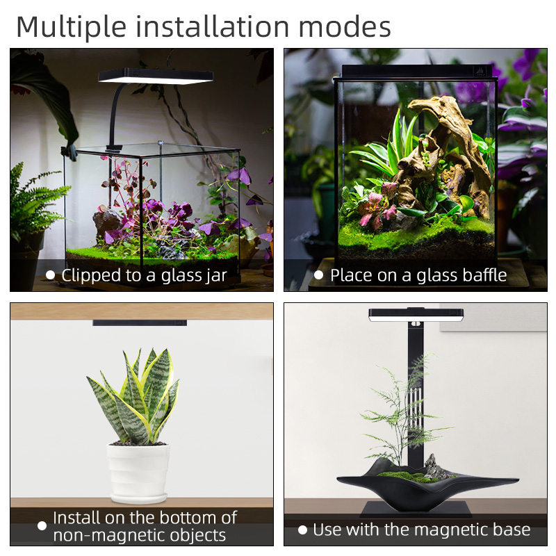 Hete Aanbieding Mini9pro Nano  - Planted Aquarium For Sale recensie en prijs