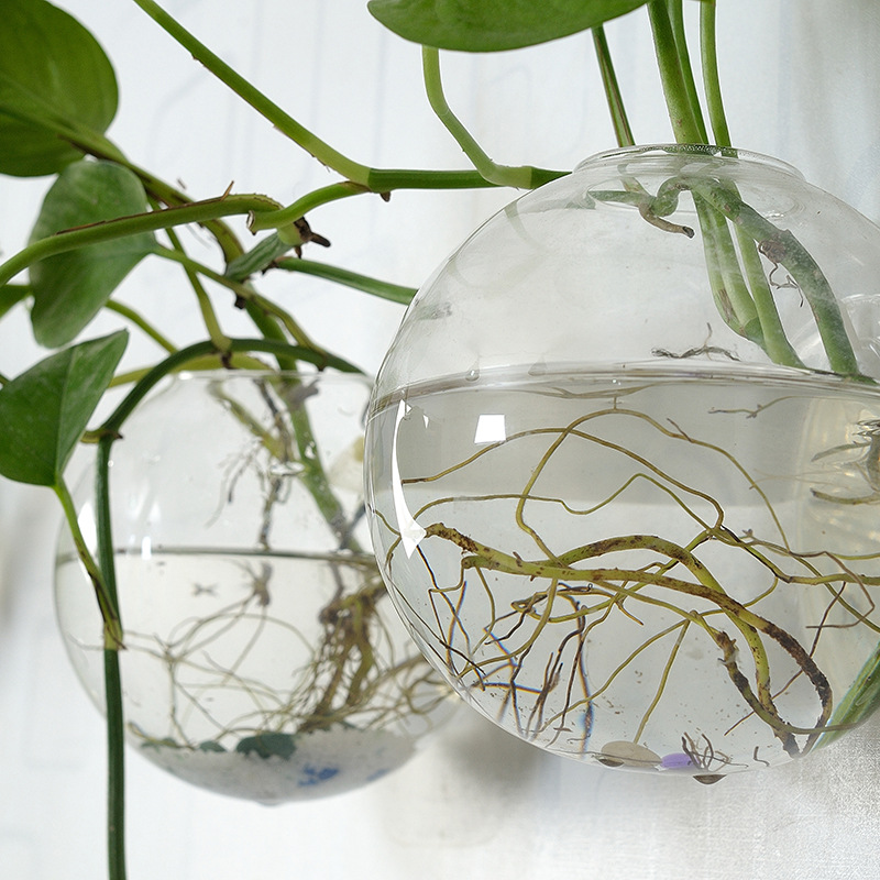 Muuropknoping Acryl Viskom Ple - Aquarium Planted Wall recensie en prijs
