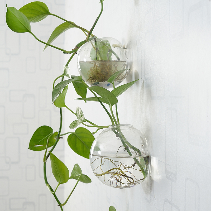 Muuropknoping Acryl Viskom Ple - Aquarium Planted Wall recensie en prijs