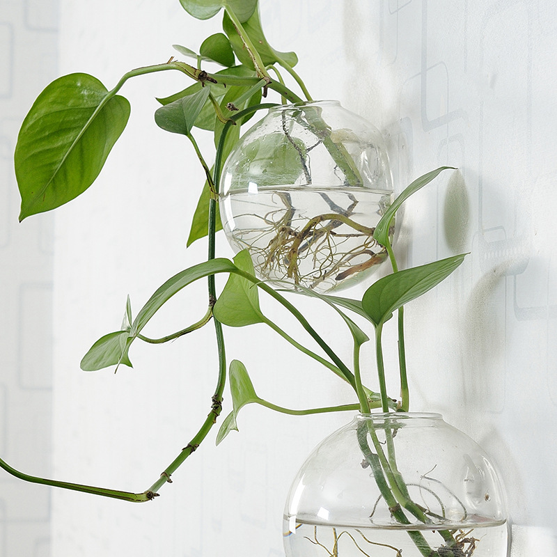 Muuropknoping Acryl Viskom Ple - Aquarium Planted Wall recensie en prijs