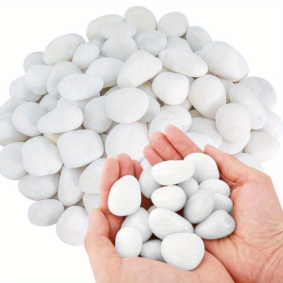 200/400g Witte Hooggepolijste  - Aquarium Plant recensie en prijs