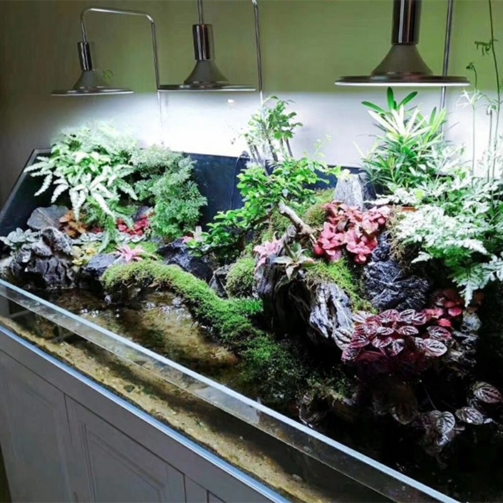 LED-visbaklamp met verstelbare - Planted Aquarium Freshwater recensie en prijs