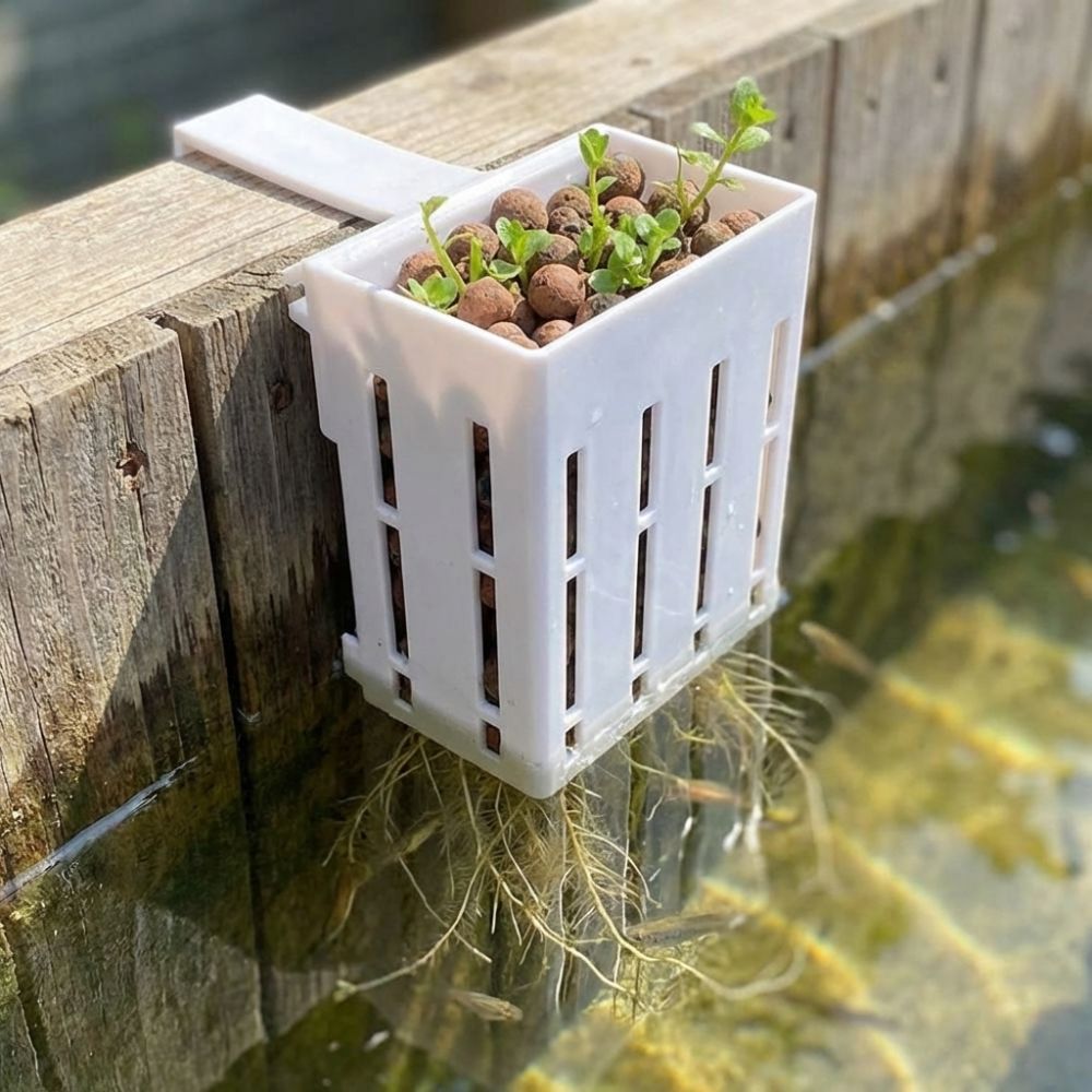 Aan de muur gemonteerde aquari - Aquarium Planted Wall recensie en prijs