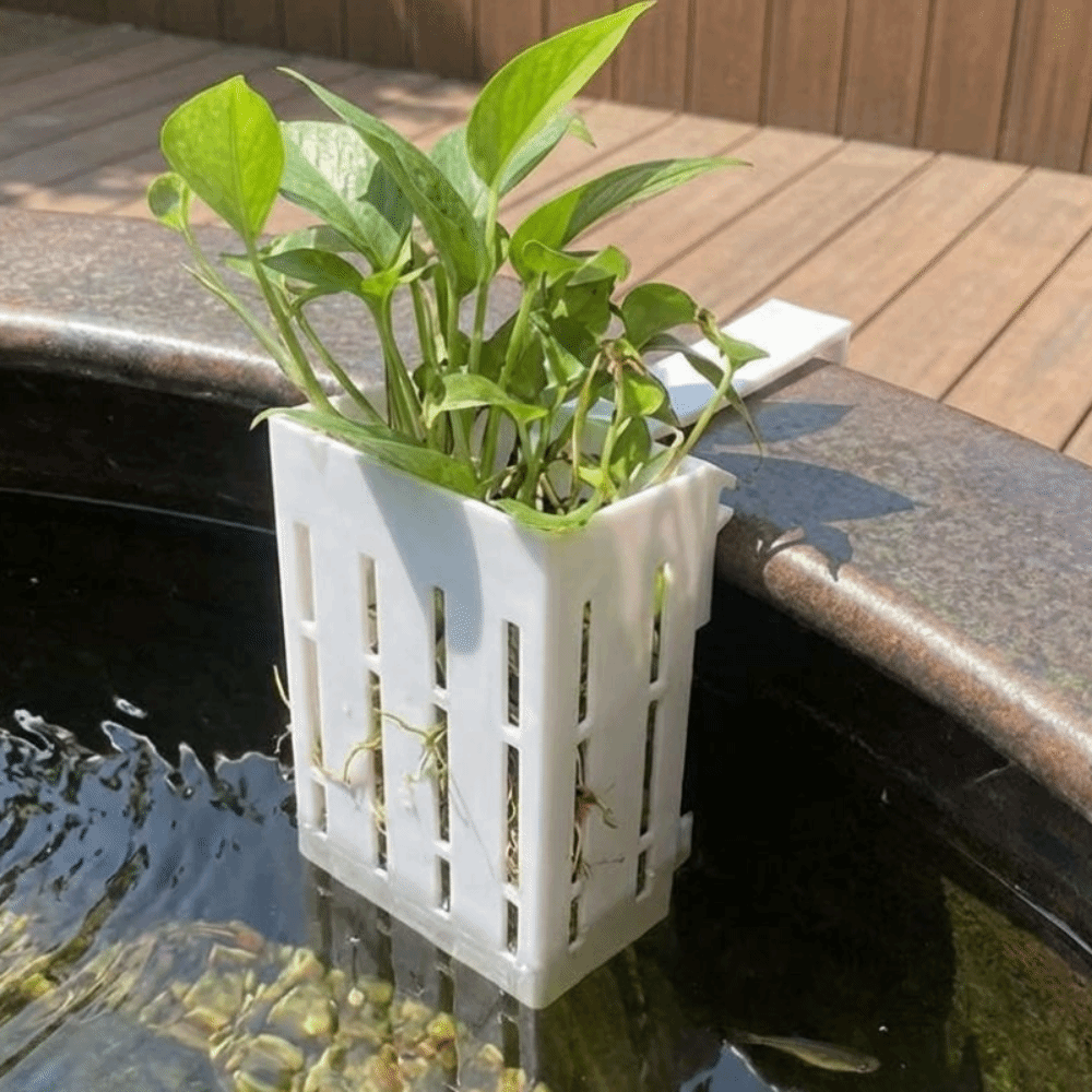 Aan de muur gemonteerde aquari - Aquarium Planted Wall recensie en prijs