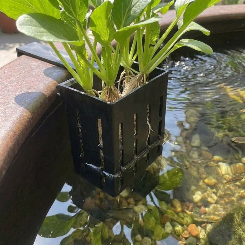 Aan de muur gemonteerde aquari - Aquarium Planted Wall recensie en prijs