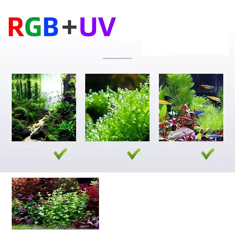 Led Verlichting 60cm 80cm 90cm - Planted Aquarium For Sale recensie en prijs