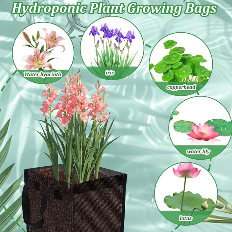 4 stuks zwarte gaas vijverplan - Aquarium Plant recensie en prijs