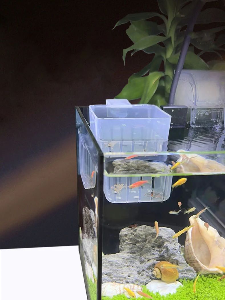 Aquarium Transparante Hydrocul - Aquarium Planted Wall recensie en prijs
